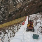 20081129_vendanges_beudon_05