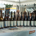 vinea2010 364
