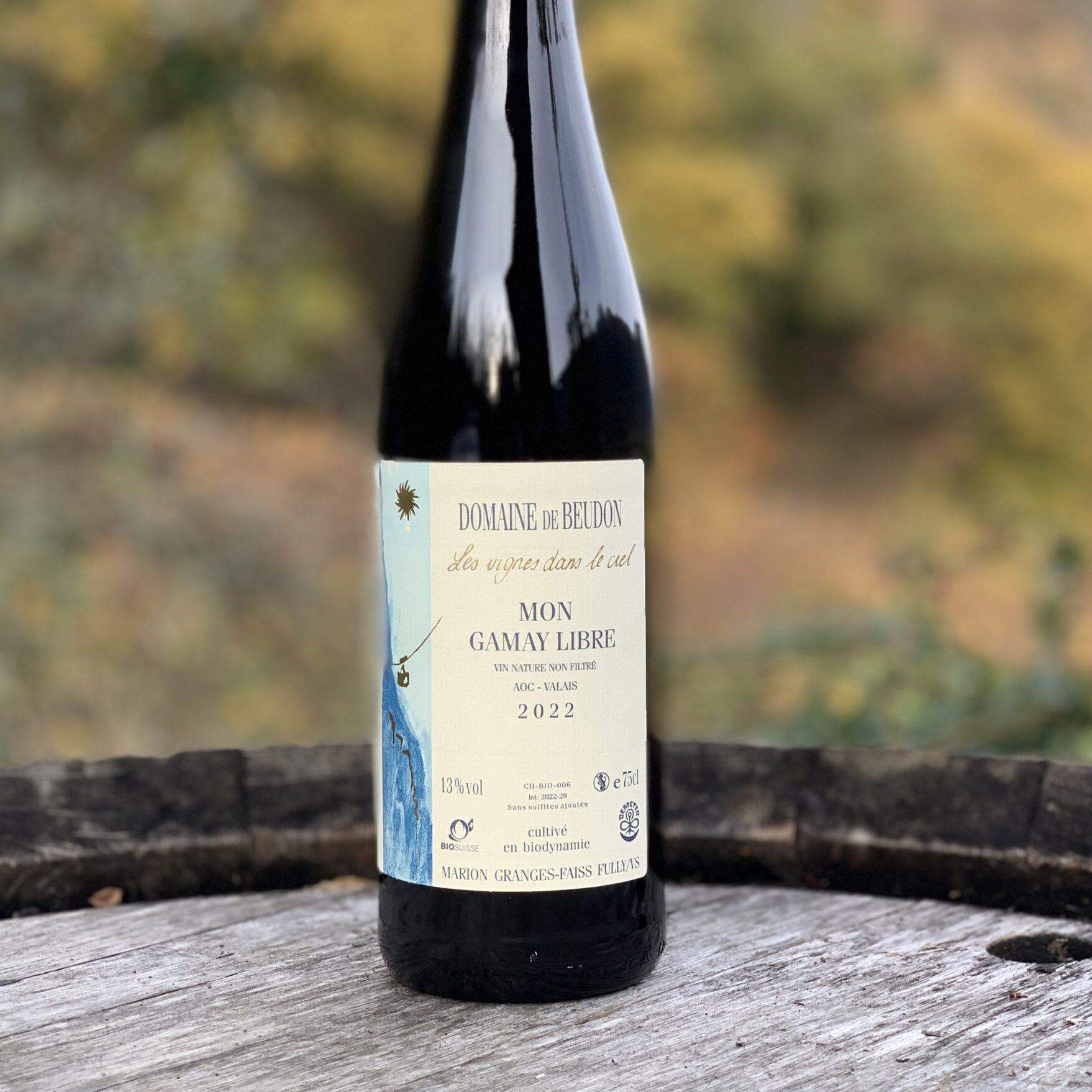 Mon Gamay Libre 2022 (vieilles vignes)