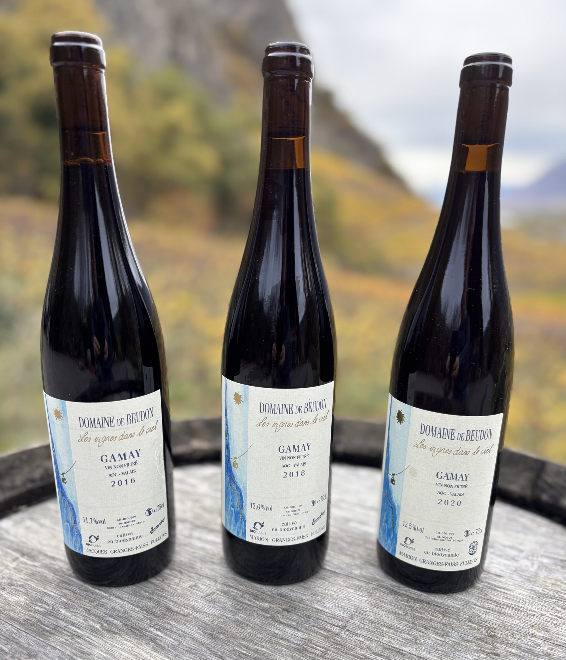 Gamay  (vieilles vignes)