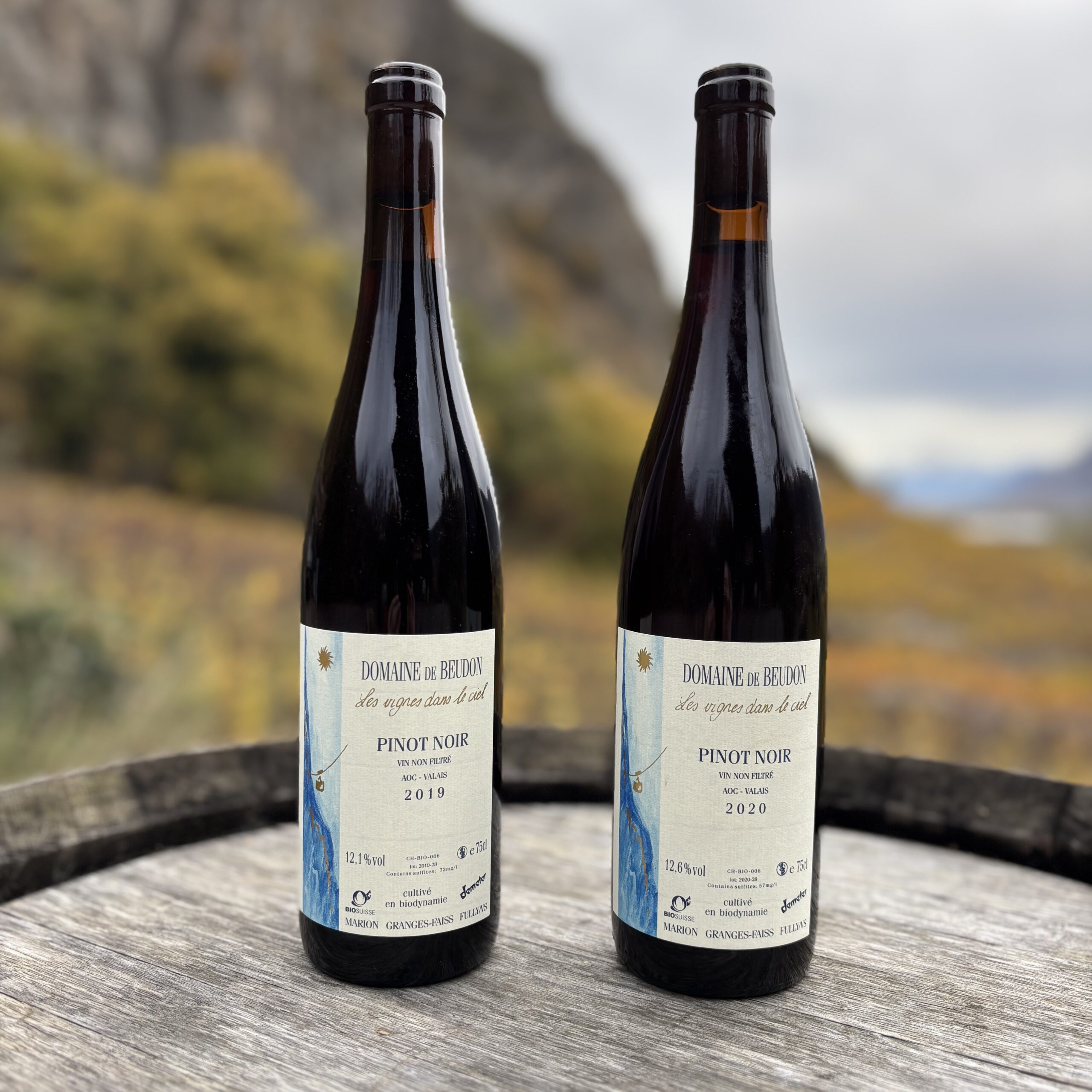 Pinot Noir (vieilles vignes)