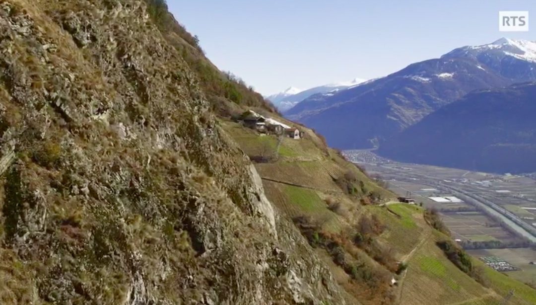 Une année à la vigne, les domaines du possible