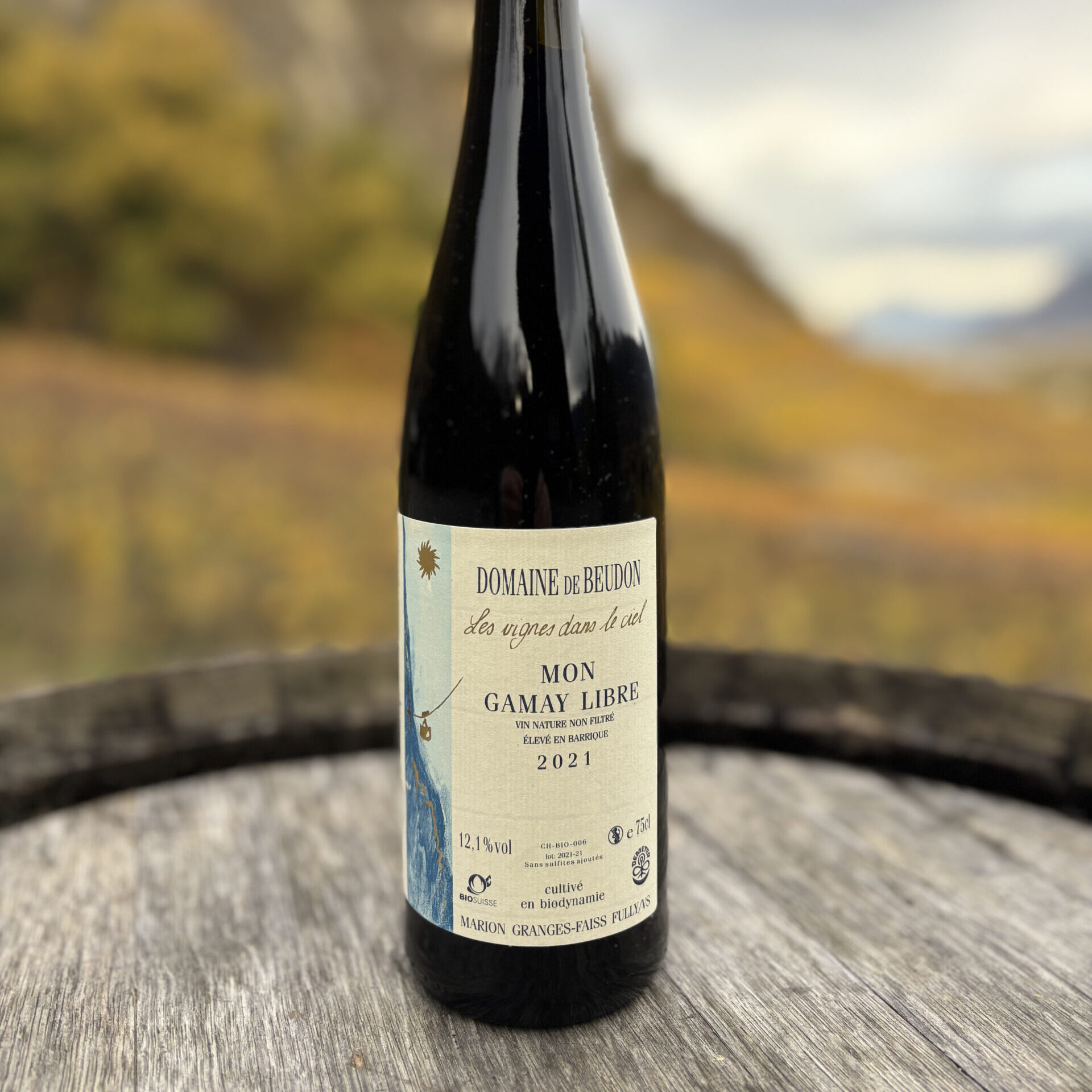Mon Gamay Libre 2021 (vieilles vignes)