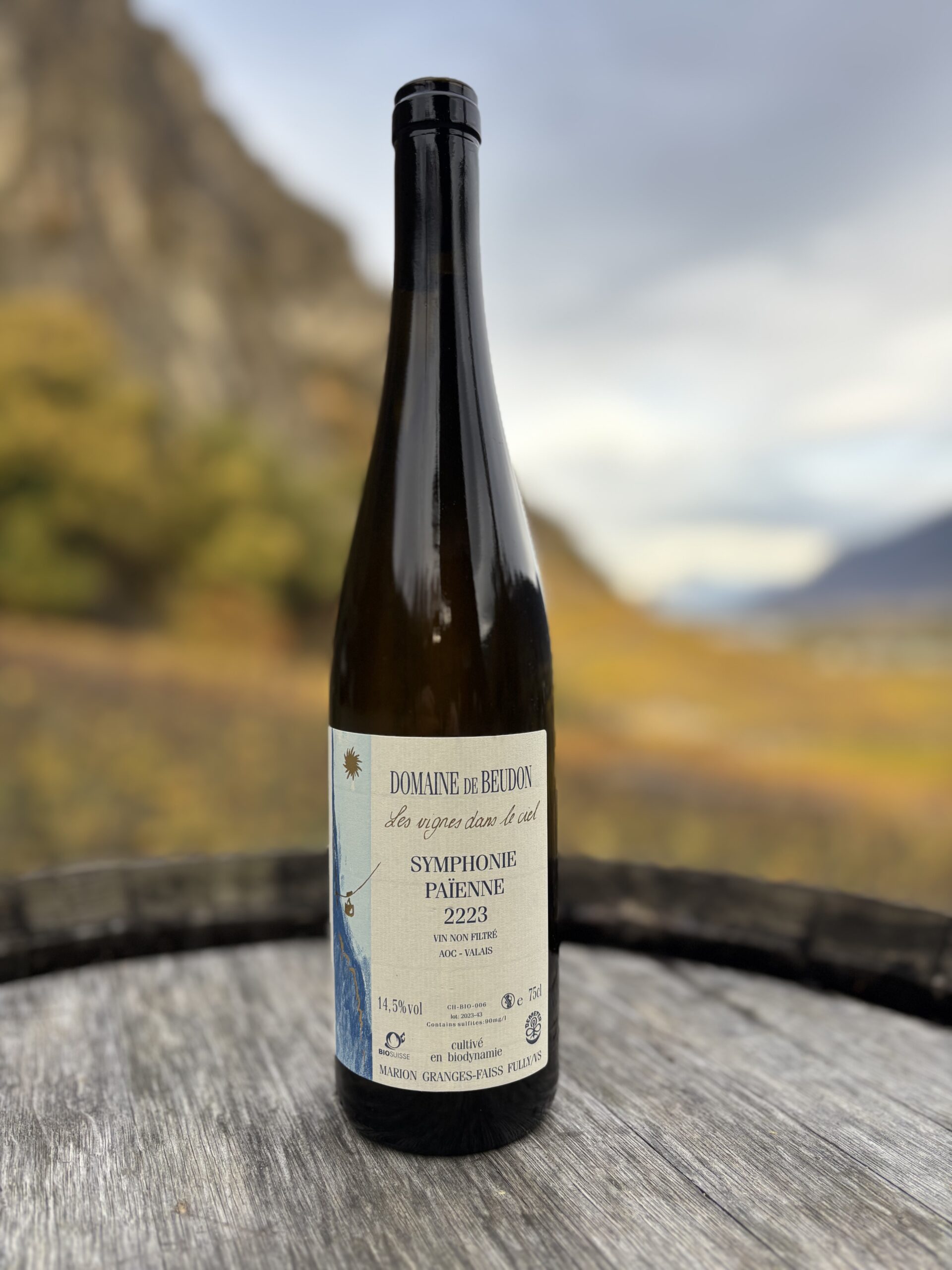 Symphonie Païenne 2223