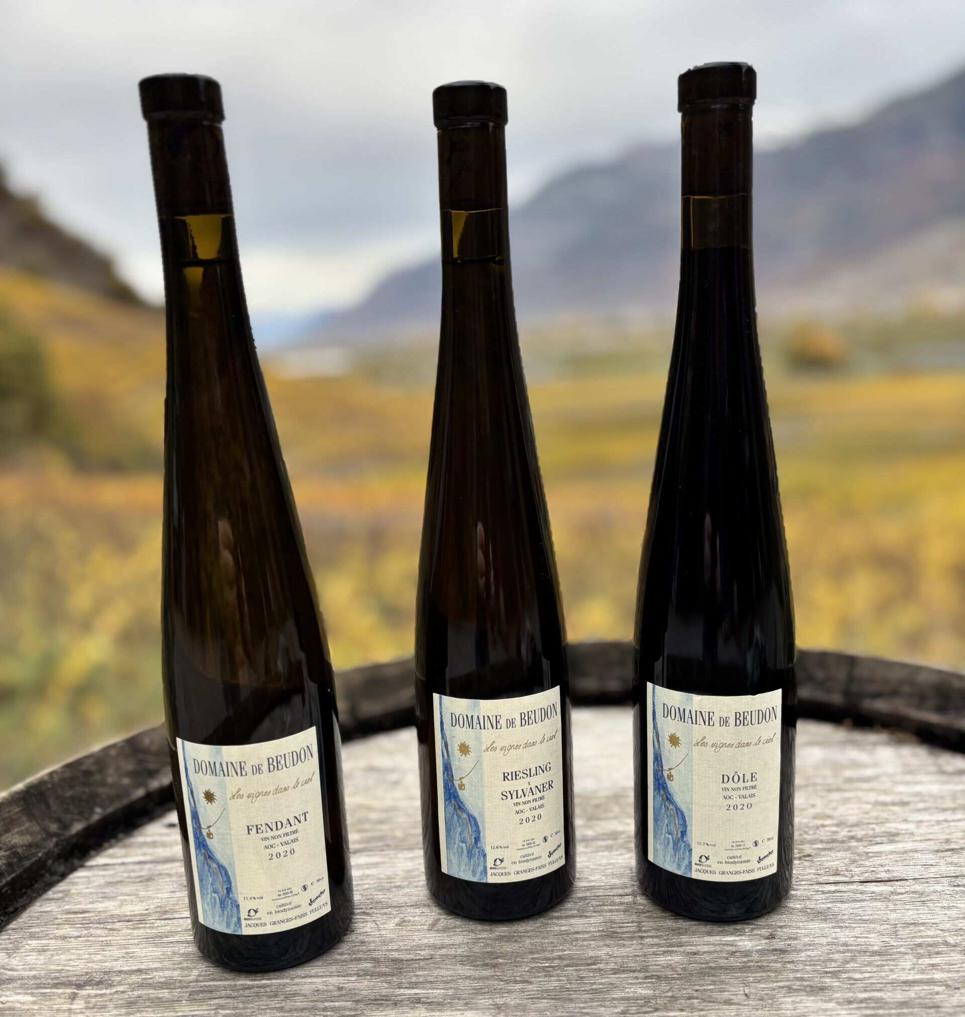 Riesling x Sylvaner - 50cl