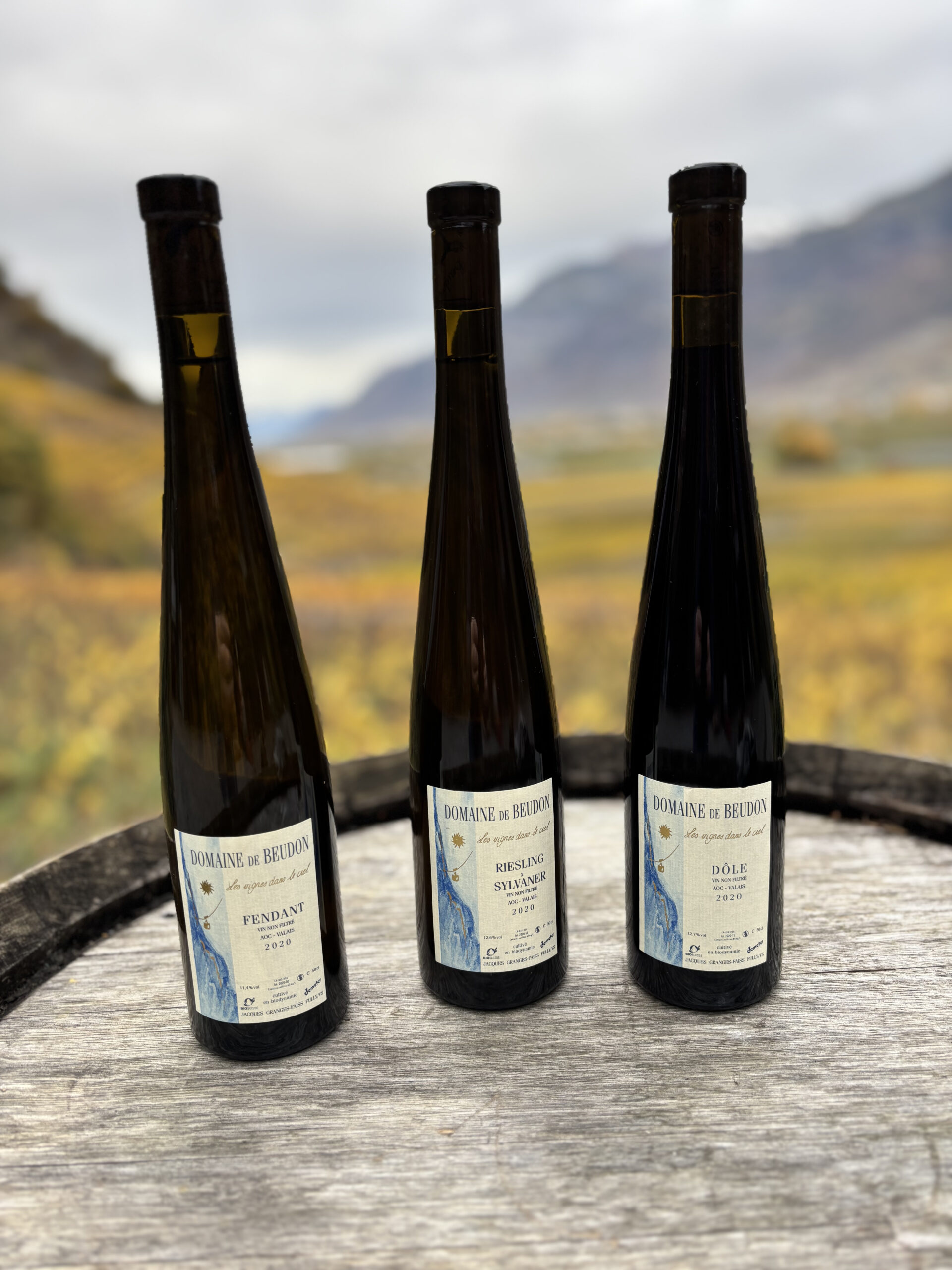 Riesling x Sylvaner - 50cl